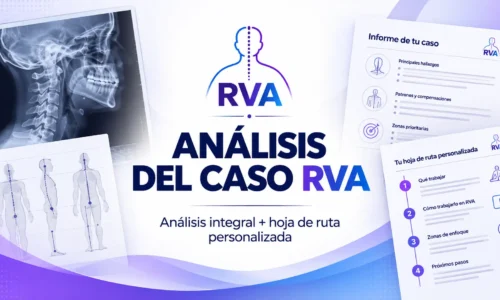 miniatura del curso