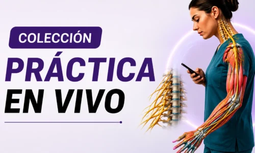 miniatura del curso