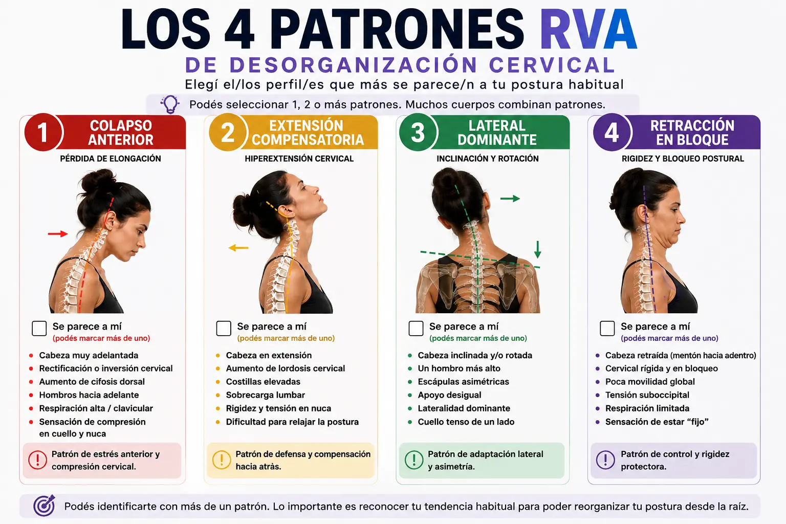 Los cuatro perfiles de desorganización cervical RVA